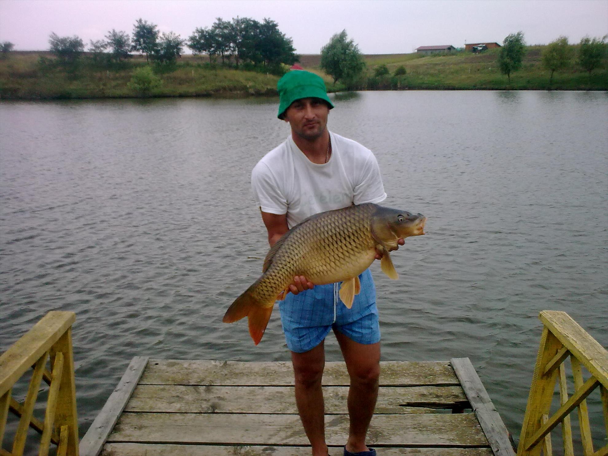 O vacanta placuta. - 9,400 kg